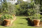 Morton Plainsvegetable-gardens-3.jpg; ?>